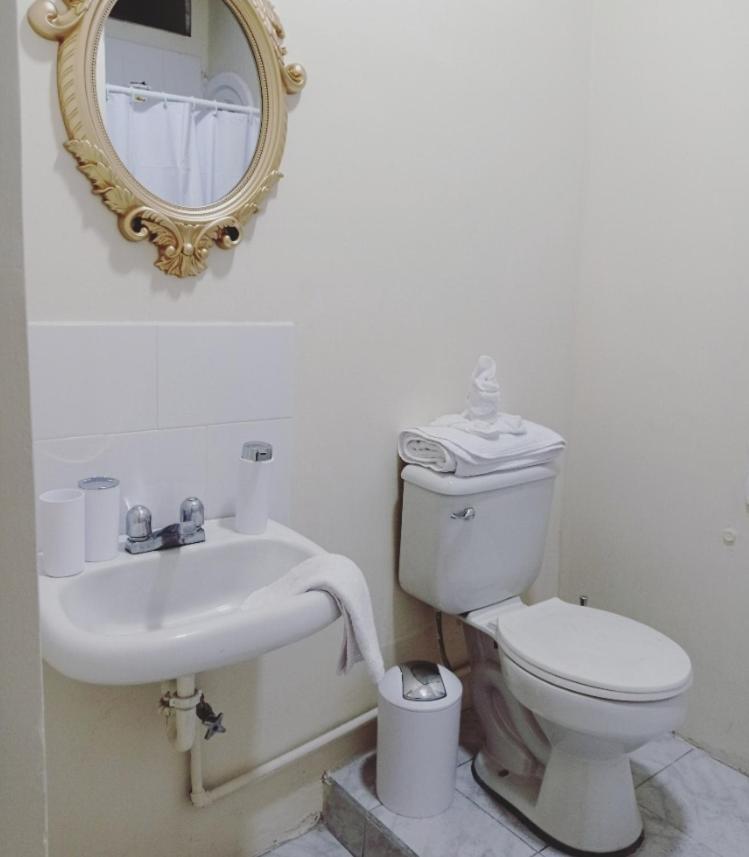 Casa Tamayoキト エクステリア 写真